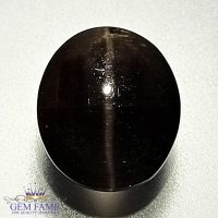 Sillimanite Cat's Eye 3.99ct Rare Gemstone