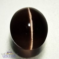 Sillimanite Cat's Eye 2.92ct Rare Gemstone