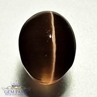 Sillimanite Cat's Eye 2.75ct Rare Gemstone