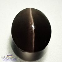 Sillimanite Cat's Eye 4.01ct Rare Gemstone