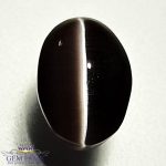 Sillimanite Cat's Eye 2.97ct Rare Gemstone