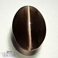 Sillimanite Cat's Eye 3.45ct Rare Gemstone