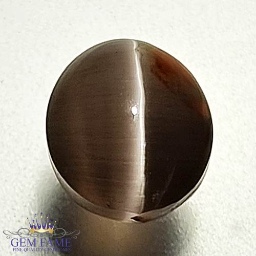 Sillimanite Cat's Eye 2.97ct Rare Gemstone