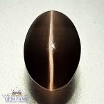 Sillimanite Cat's Eye 2.80ct Rare Gemstone