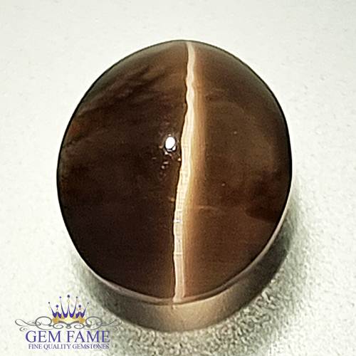 Sillimanite Cat's Eye 2.88ct Rare Gemstone