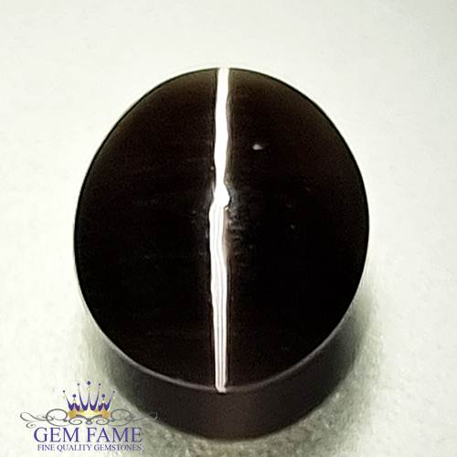 Sillimanite Cat's Eye 2.93ct Rare Gemstone