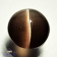 Sillimanite Cat's Eye 3.72ct Rare Gemstone