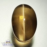 Sillimanite Cat's Eye 6.06ct Rare Gemstone