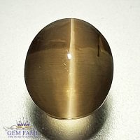 Sillimanite Cat's Eye 4.26ct Rare Gemstone