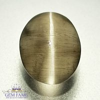 Sillimanite Cat's Eye 2.90ct Rare Gemstone