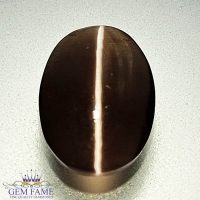 Sillimanite Cat's Eye 2.58ct Rare Gemstone