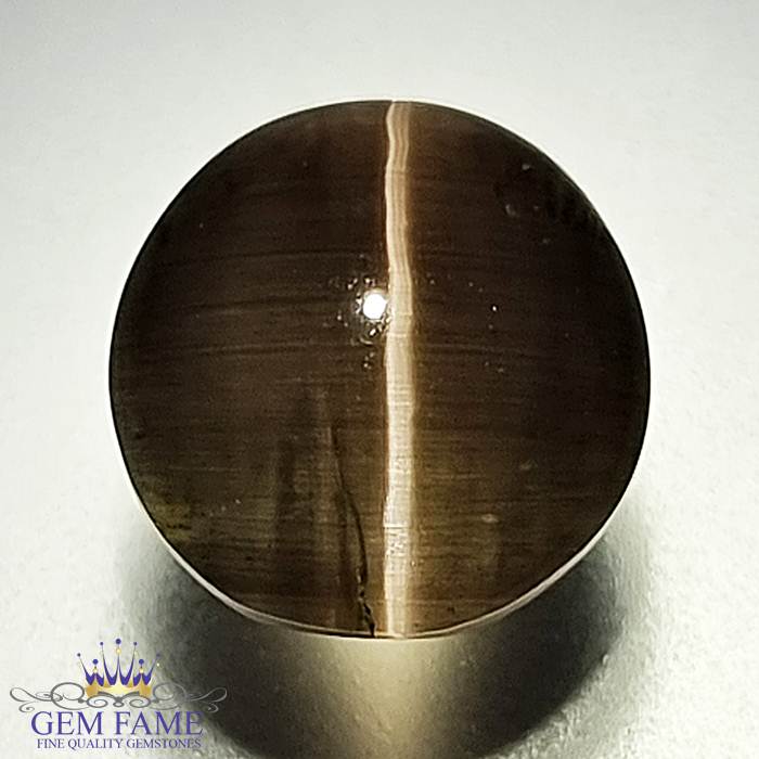 Sillimanite Cat's Eye 6.10ct Rare Gemstone