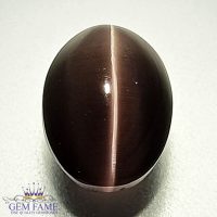 Sillimanite Cat's Eye 4.59ct Rare Gemstone