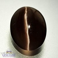Sillimanite Cat's Eye 3.13ct Rare Gemstone