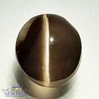 Sillimanite Cat's Eye 3.06ct Rare Gemstone