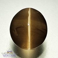 Sillimanite Cat's Eye 3.20ct Rare Gemstone