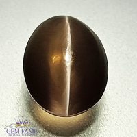 Sillimanite Cat's Eye 2.85ct Rare Gemstone