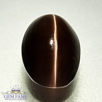 Sillimanite Cat's Eye 2.68ct Rare Gemstone