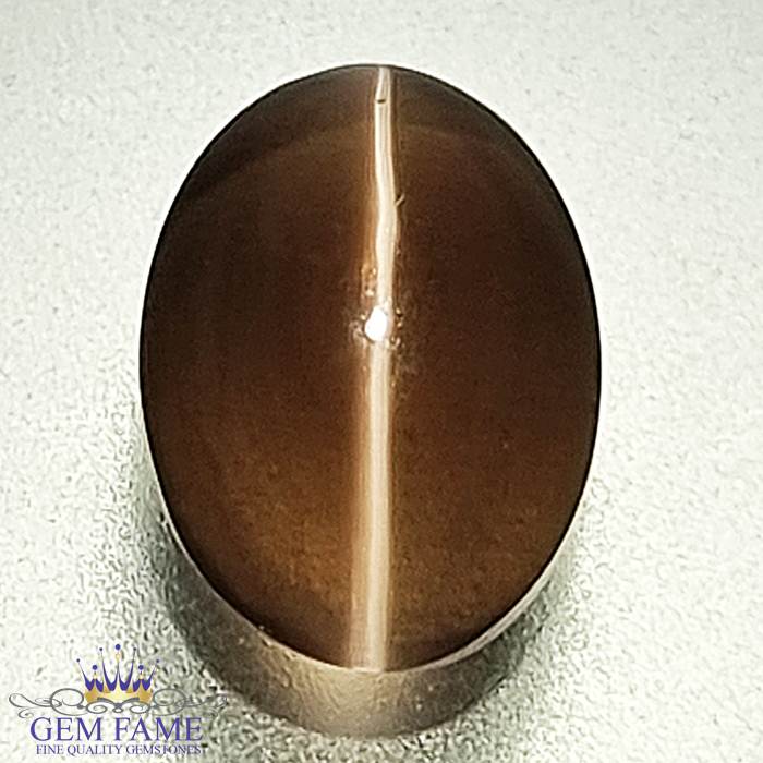 Sillimanite Cat's Eye 2.50ct Rare Gemstone