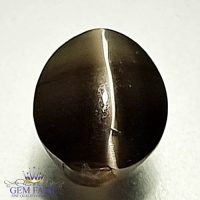 Sillimanite Cat's Eye 2.28ct Rare Gemstone