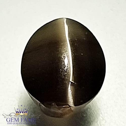 Sillimanite Cat's Eye 2.28ct Rare Gemstone