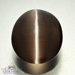 Sillimanite Cat's Eye 3.38ct Rare Gemstone