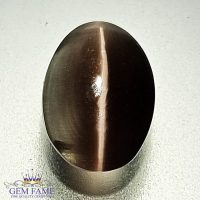 Sillimanite Cat's Eye 2.72ct Rare Gemstone