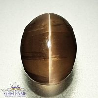 Sillimanite Cat's Eye 3.53ct Rare Gemstone