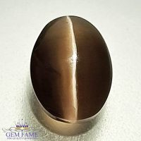 Sillimanite Cat's Eye 2.67ct Rare Gemstone