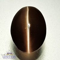 Sillimanite Cat's Eye 2.76ct Rare Gemstone