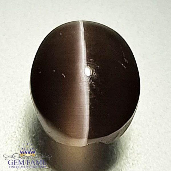 Sillimanite Cat's Eye 2.87ct Rare Gemstone