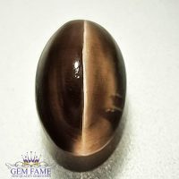 Sillimanite Cat's Eye 3.45ct Rare Gemstone