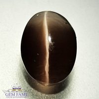 Sillimanite Cat's Eye 2.66ct Rare Gemstone