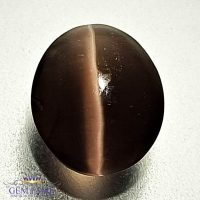 Sillimanite Cat's Eye 2.80ct Rare Gemstone