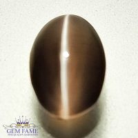 Sillimanite Cat's Eye 2.65ct Rare Gemstone