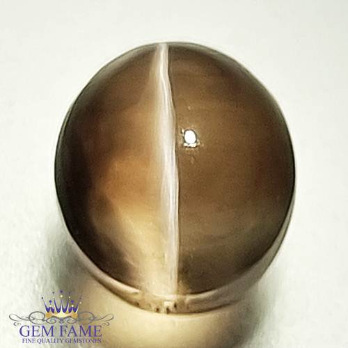 Sillimanite Cat's Eye 3.12ct Rare Gemstone