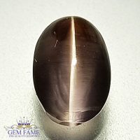 Sillimanite Cat's Eye 2.41ct Rare Gemstone