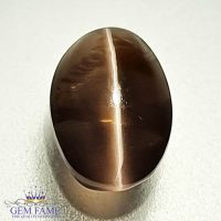 Sillimanite Cat's Eye 2.25ct Rare Gemstone