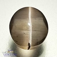 Sillimanite Cat's Eye 2.51ct Rare Gemstone