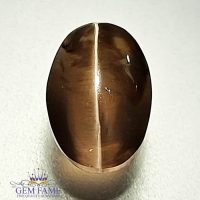 Sillimanite Cat's Eye 2.62ct Rare Gemstone