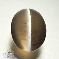 Sillimanite Cat's Eye 2.60ct Rare Gemstone