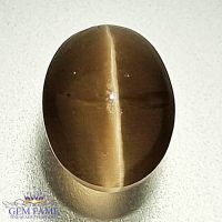 Sillimanite Cat's Eye 2.33ct Rare Gemstone