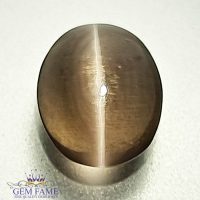 Sillimanite Cat's Eye 2.23ct Rare Gemstone