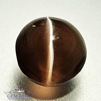 Sillimanite Cat's Eye 2.45ct Rare Gemstone