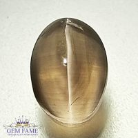 Sillimanite Cat's Eye 2.57ct Rare Gemstone