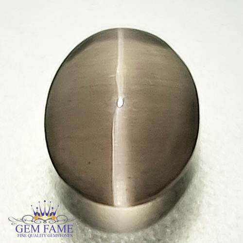 Sillimanite Cat's Eye 2.23ct Rare Gemstone