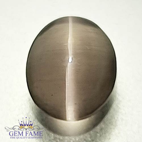 Sillimanite Cat's Eye 2.23ct Rare Gemstone