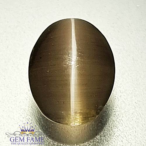 Sillimanite Cat's Eye 2.28ct Rare Gemstone