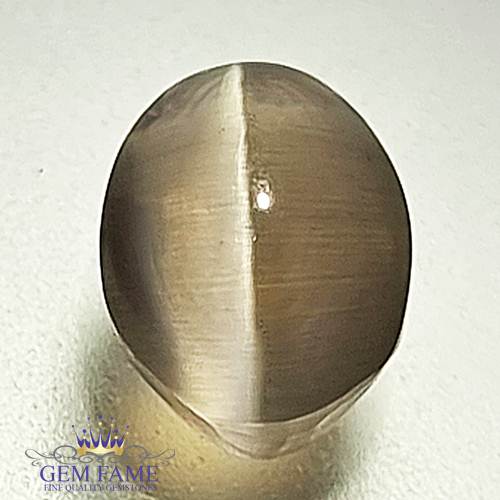 Sillimanite Cat's Eye 2.60ct Rare Gemstone