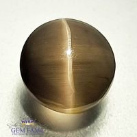 Sillimanite Cat's Eye 2.58ct Rare Gemstone